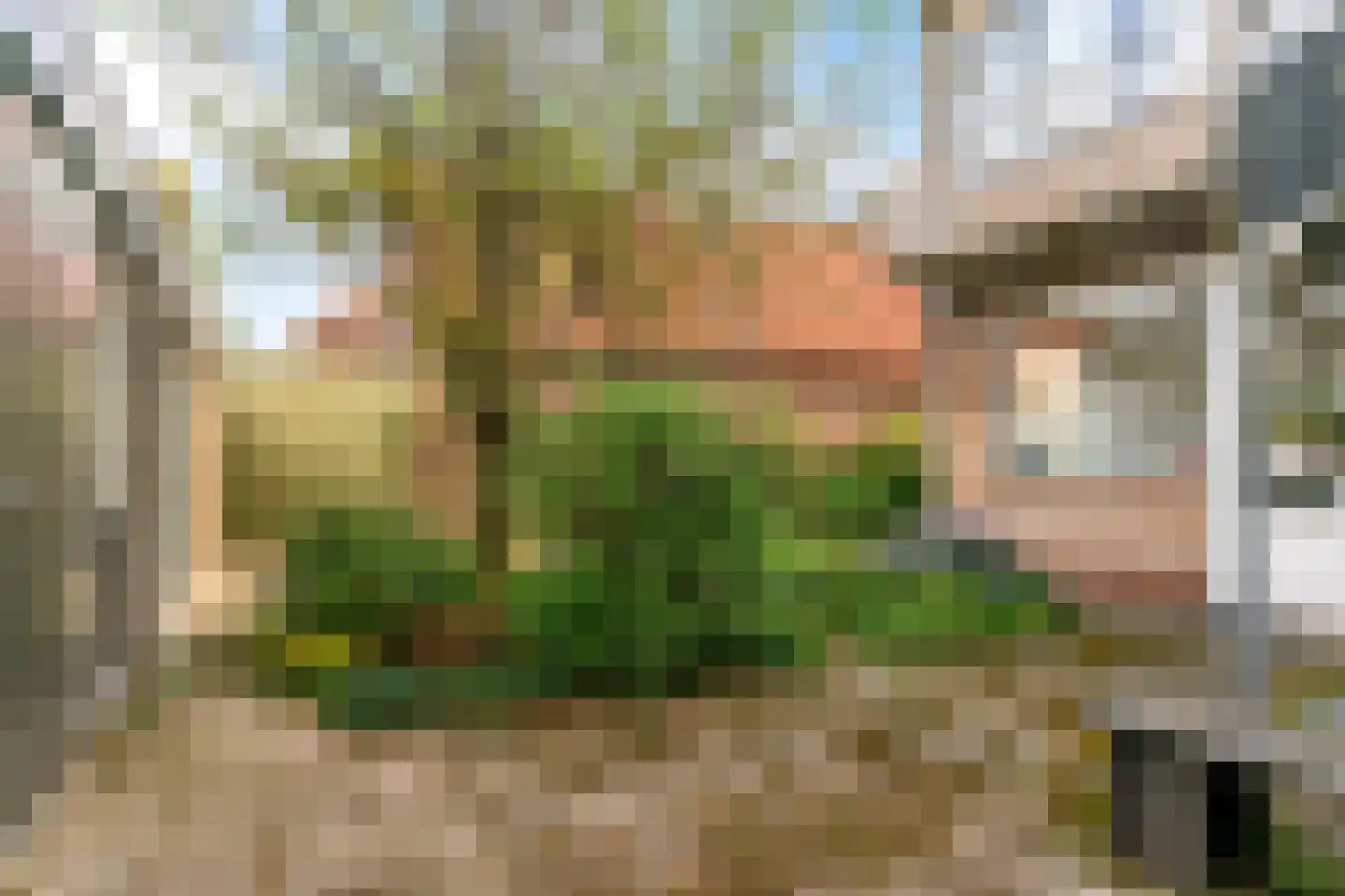 Kerklaan 6 De Kwakel thumbnail 35