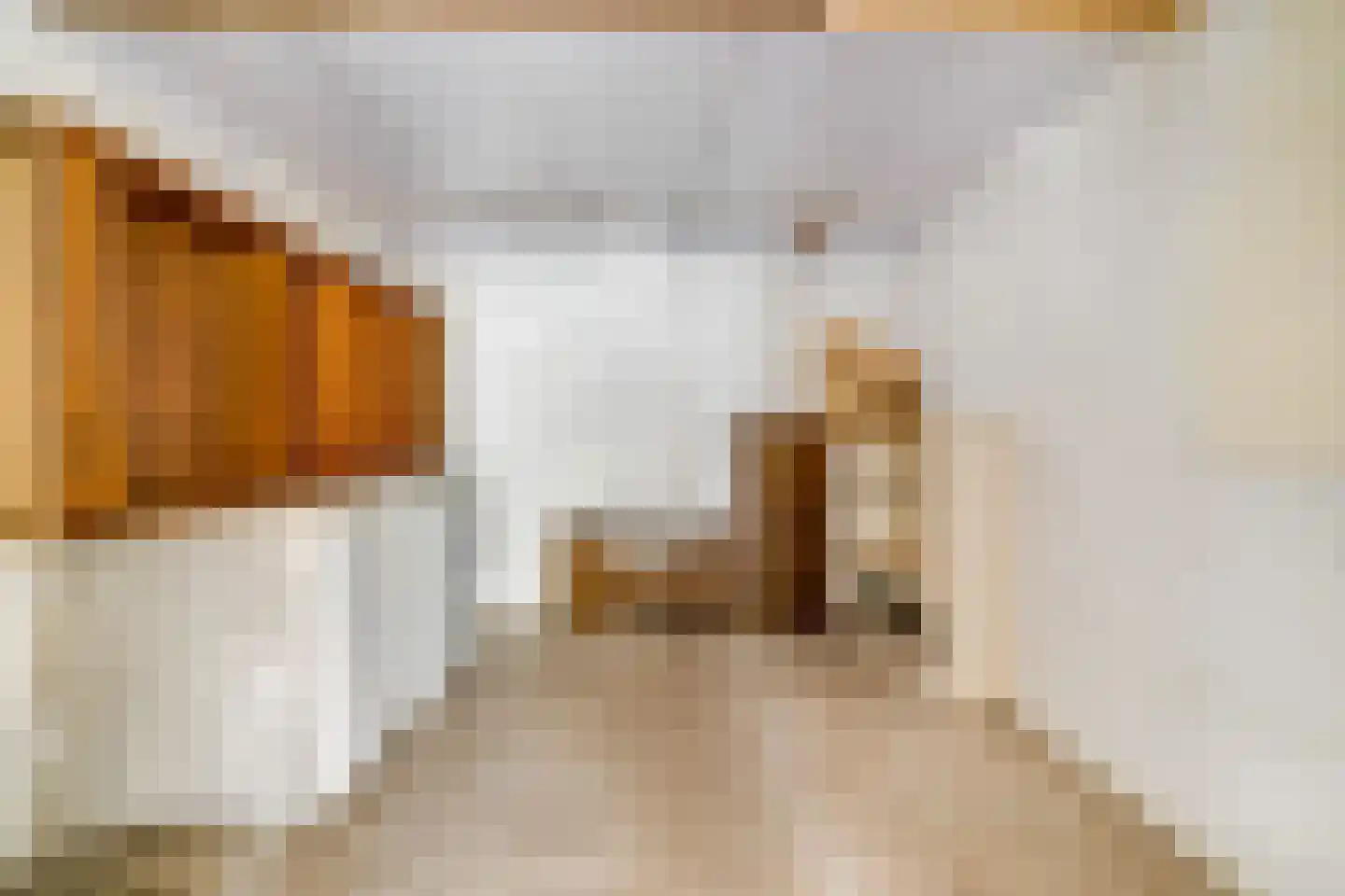 Kerklaan 6 De Kwakel thumbnail 9