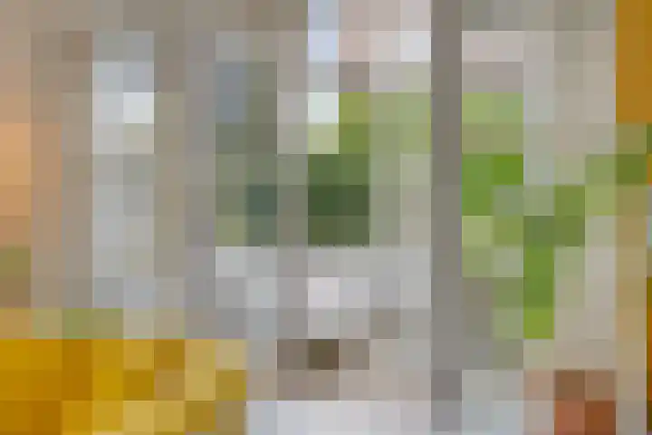 Kerklaan 6 Heteren thumbnail 14