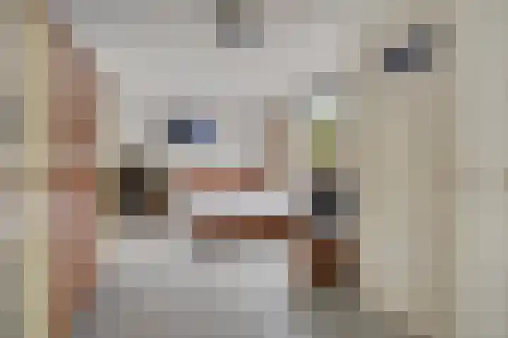 Kerklaan 6 Heteren thumbnail 21