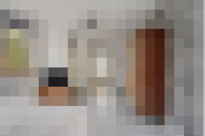 Kerklaan 6 Heteren thumbnail 22