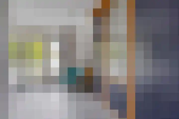 Kerklaan 6 Heteren thumbnail 26
