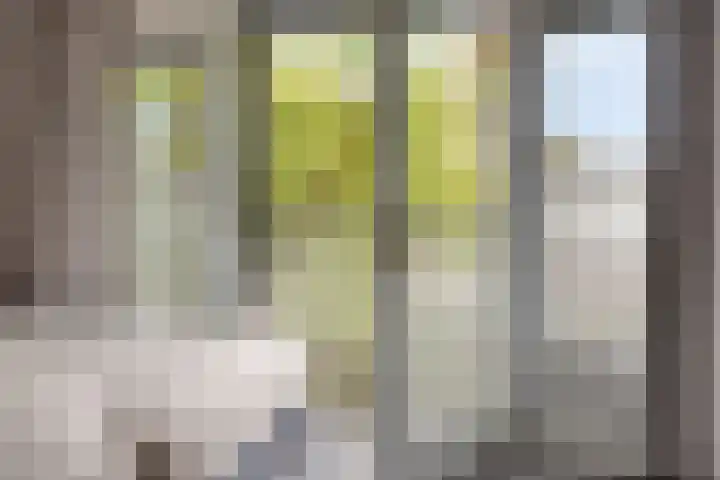 Kerklaan 6 Heteren thumbnail 28