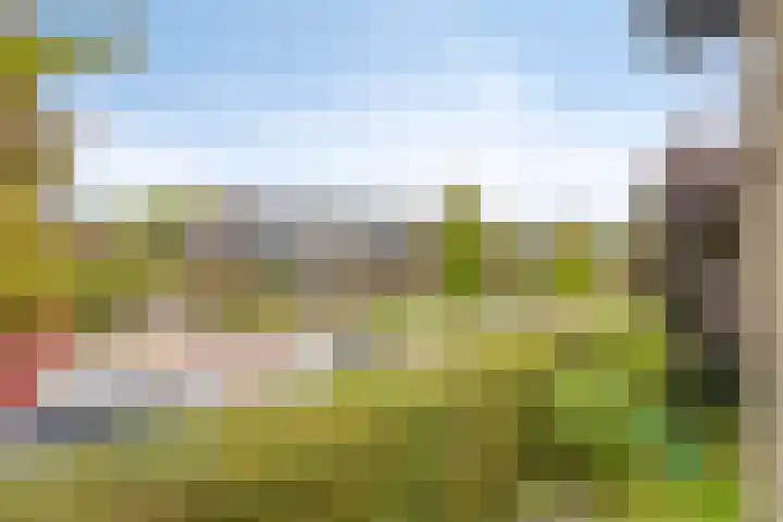 Kerklaan 6 Heteren thumbnail 29