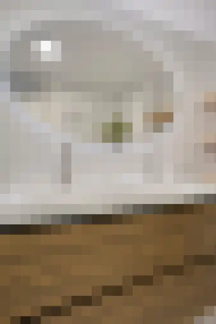 Kerklaan 6 Heteren thumbnail 31