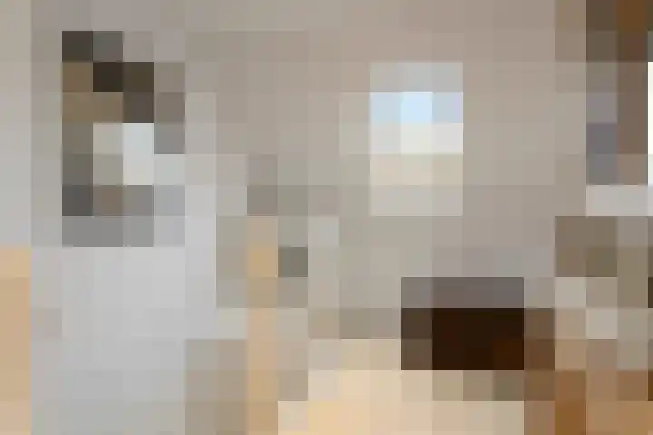 Kerklaan 6 Heteren thumbnail 39