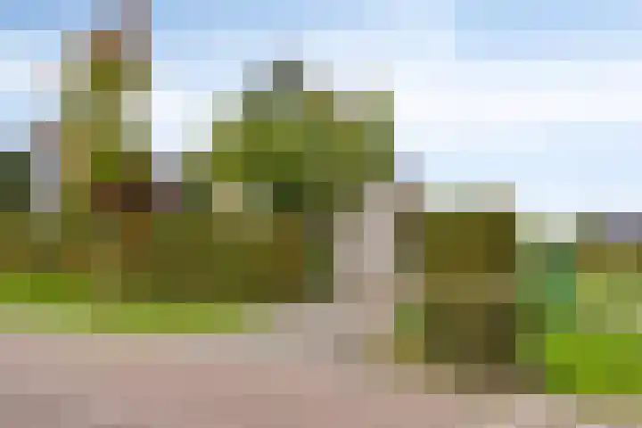 Kerklaan 6 Heteren thumbnail 4