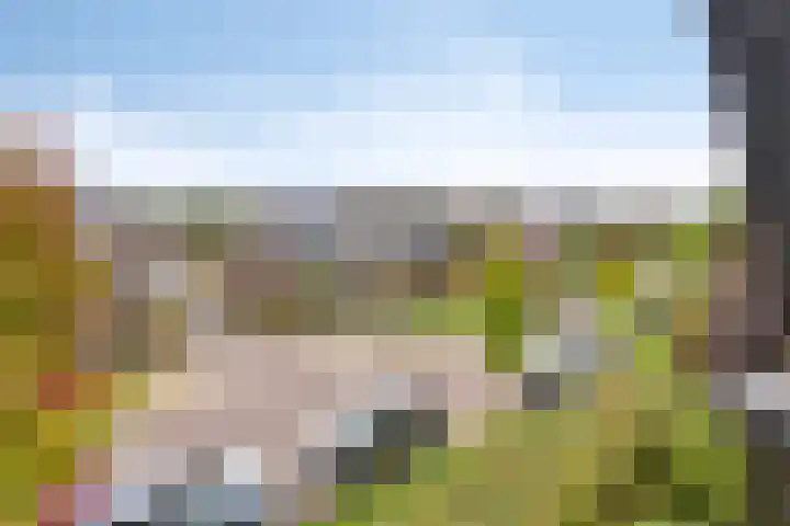 Kerklaan 6 Heteren thumbnail 42