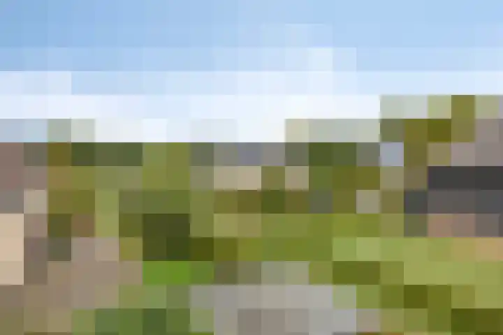 Kerklaan 6 Heteren thumbnail 45