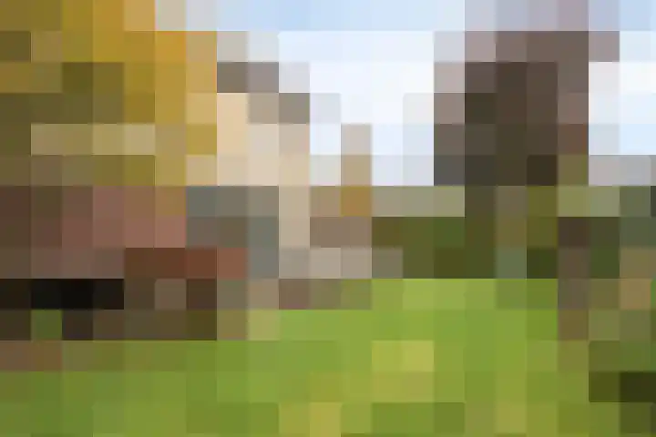 Kerklaan 6 Heteren thumbnail 49