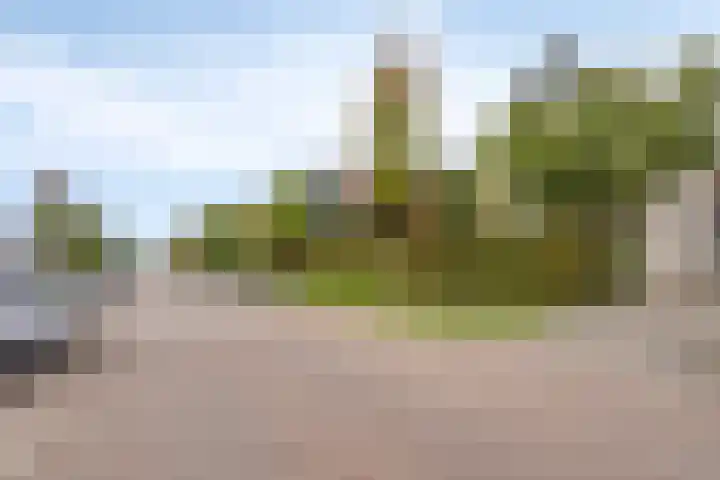 Kerklaan 6 Heteren thumbnail 5