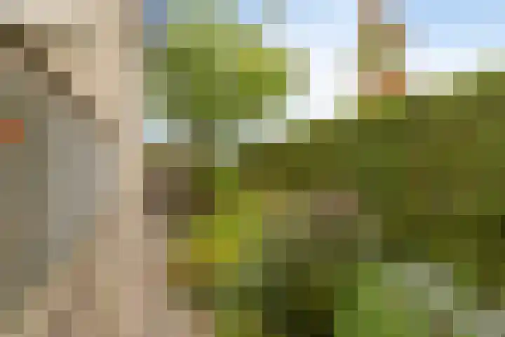 Kerklaan 6 Heteren thumbnail 51