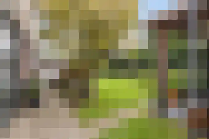 Kerklaan 6 Heteren thumbnail 54