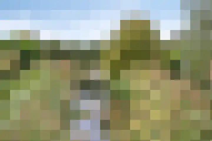 Kerklaan 6 Heteren thumbnail 57