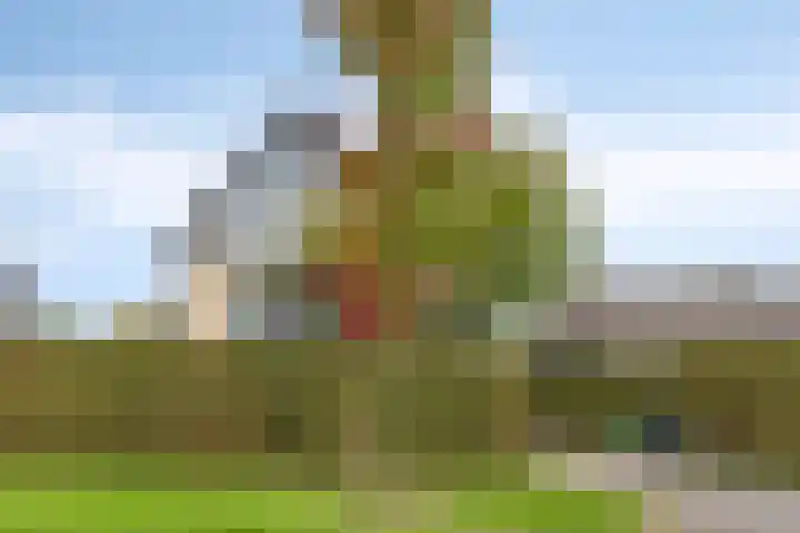 Kerklaan 6 Heteren thumbnail 6