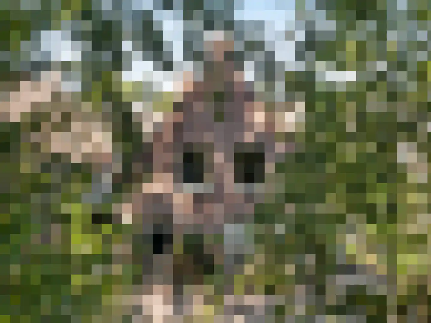 Kerklaan 6 Leiderdorp thumbnail 49