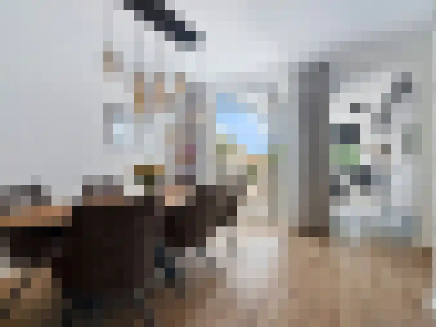 Kerklaan 6 Rijswijk thumbnail 12