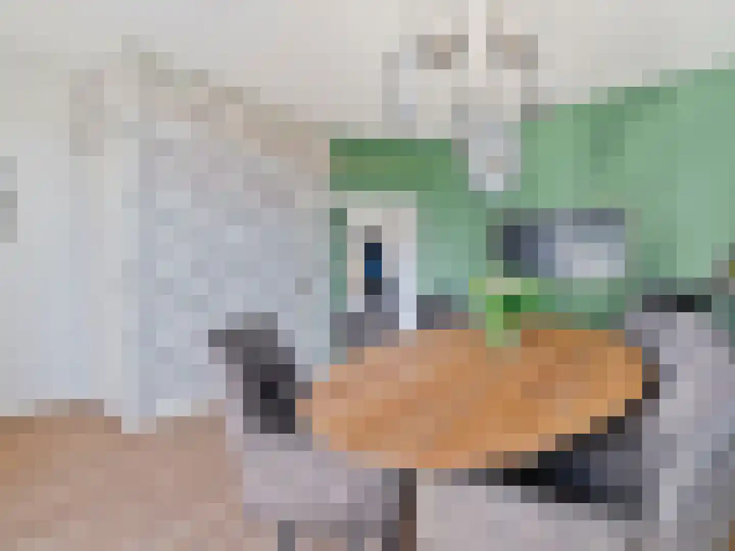 Kerklaan 6 Rijswijk thumbnail 19