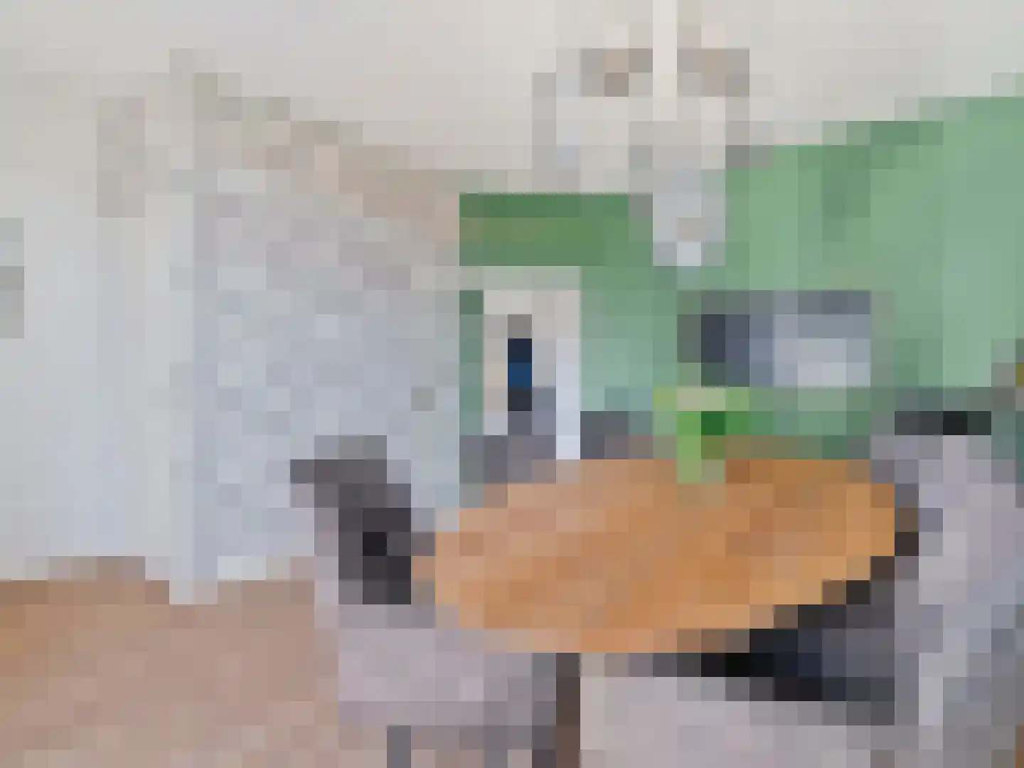 Kerklaan 6 Rijswijk thumbnail 19