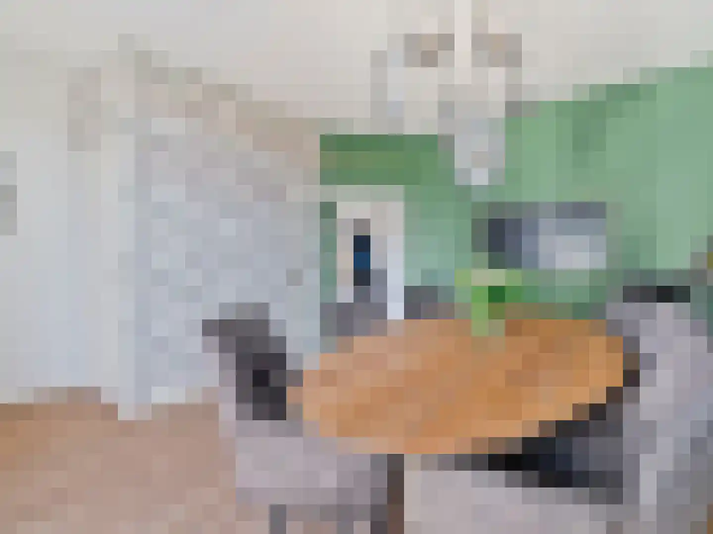 Kerklaan 6 Rijswijk thumbnail 20