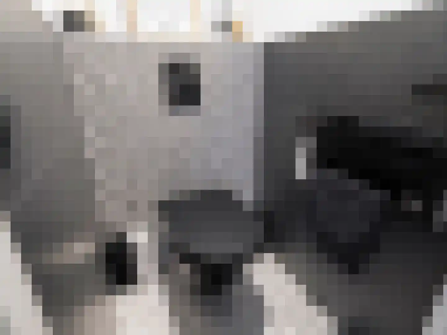 Kerklaan 6 Rijswijk thumbnail 21