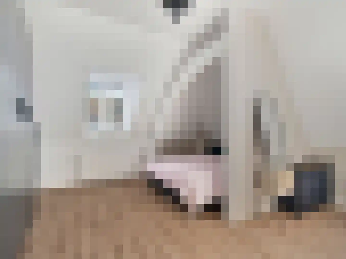 Kerklaan 6 Rijswijk thumbnail 27
