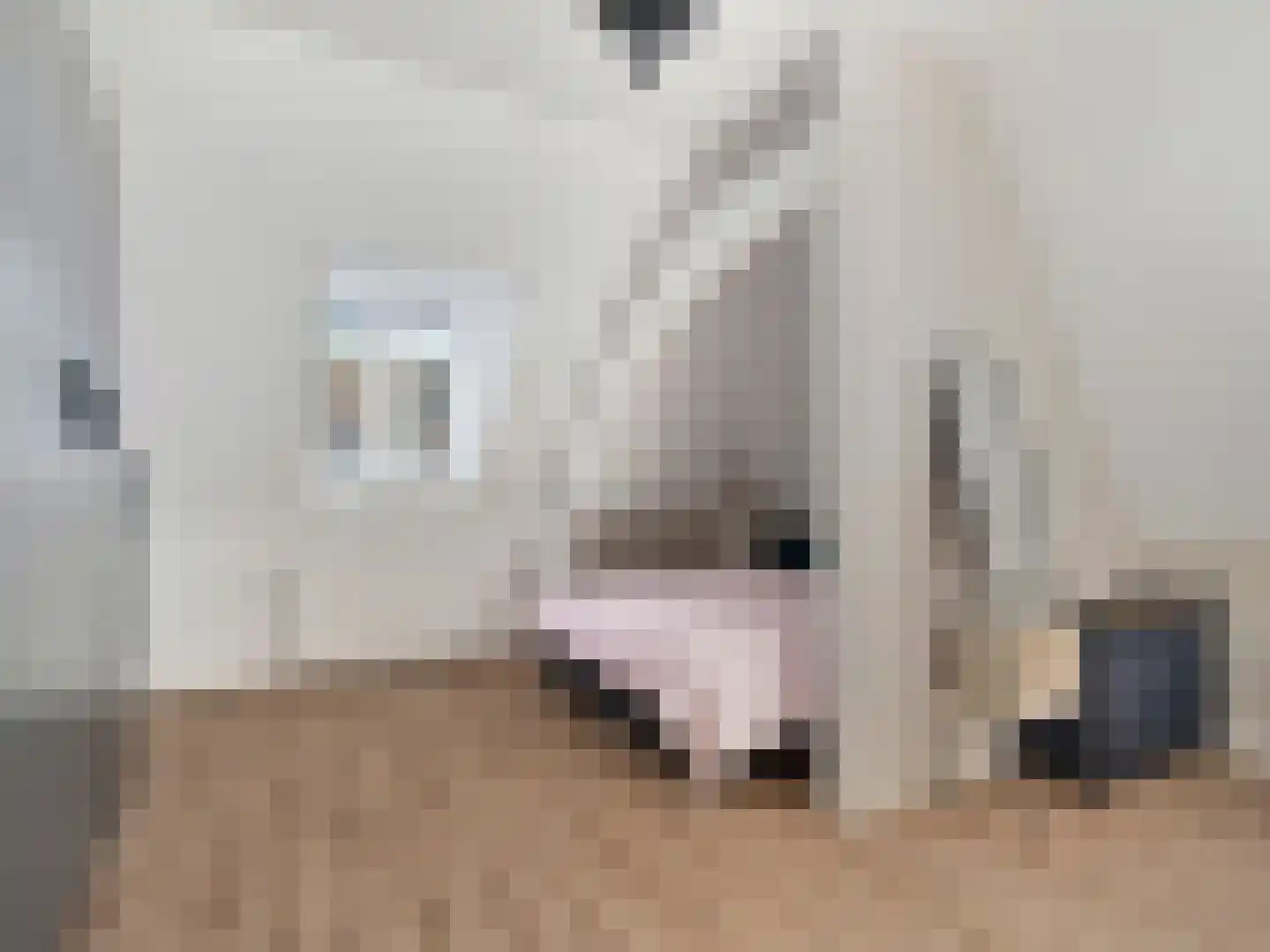 Kerklaan 6 Rijswijk thumbnail 27