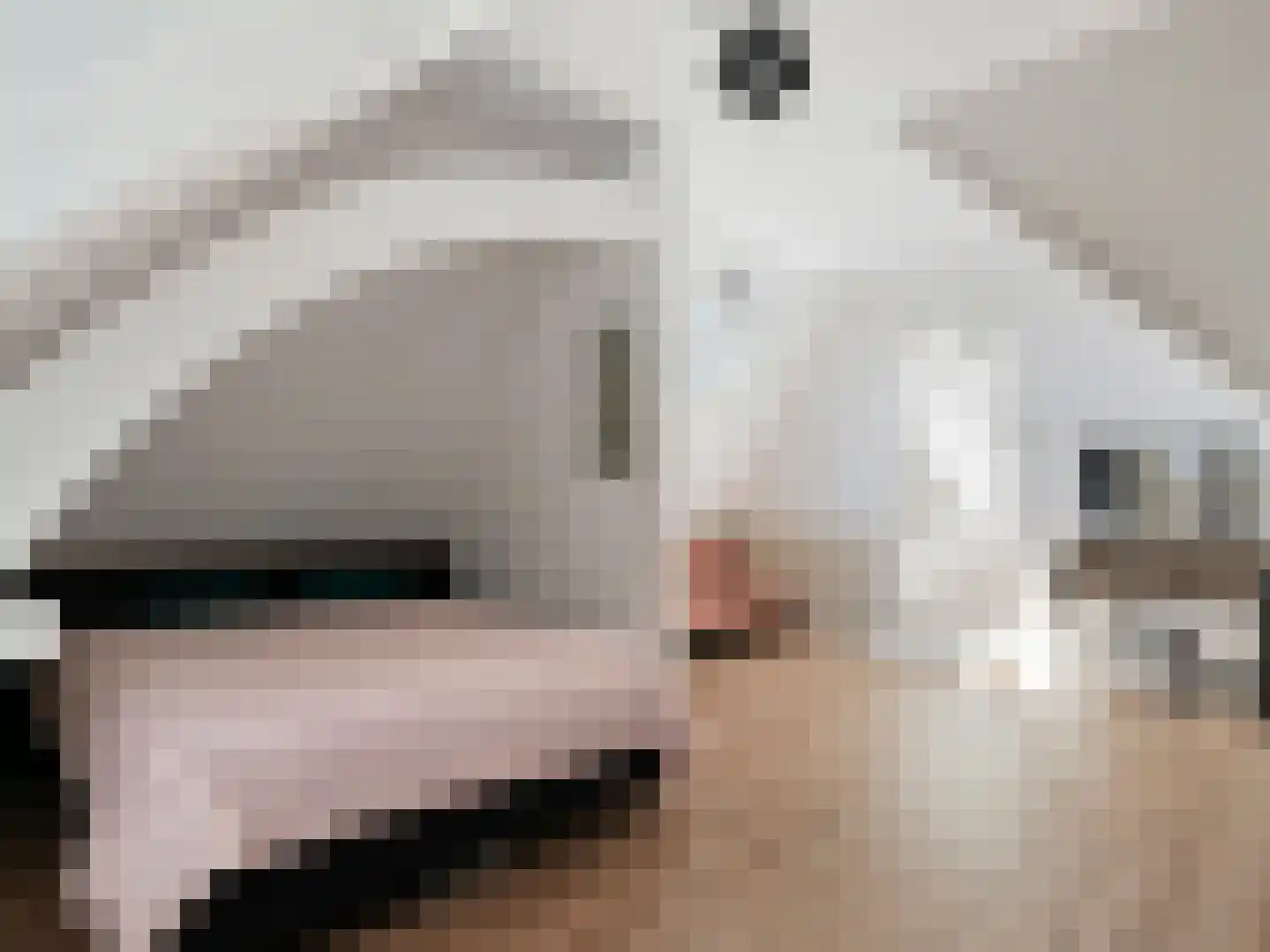 Kerklaan 6 Rijswijk thumbnail 28