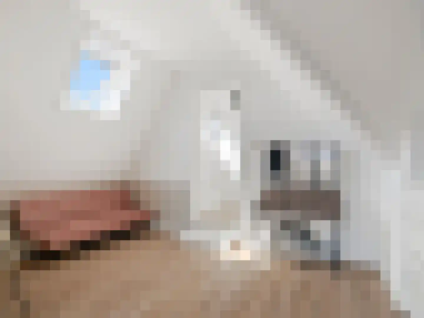Kerklaan 6 Rijswijk thumbnail 29