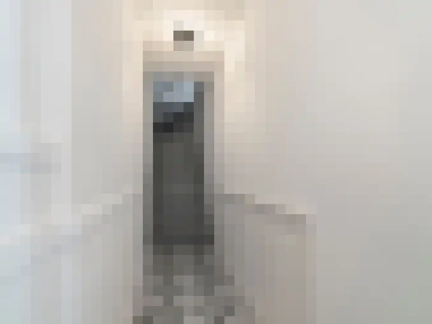 Kerklaan 6 Rijswijk thumbnail 7