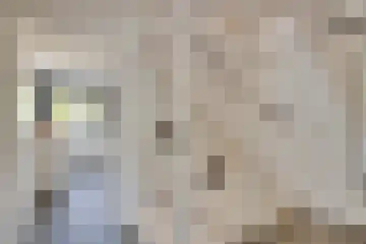 Kerklaan 6 Stolwijk thumbnail 24