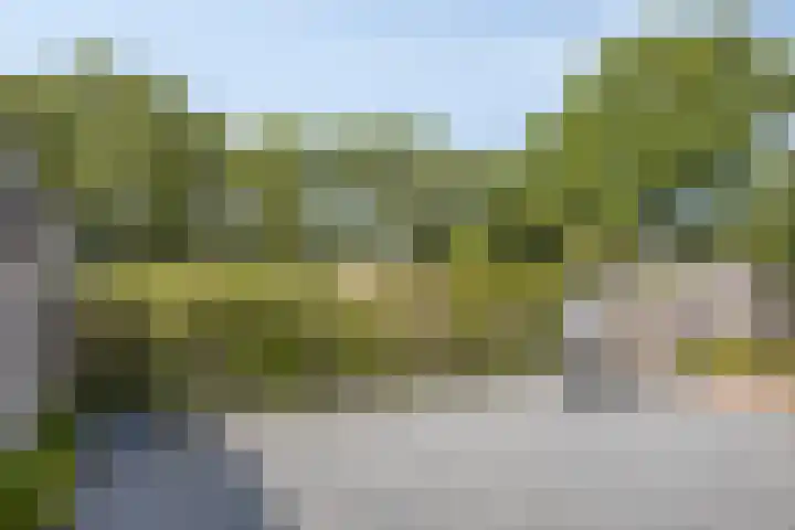 Kerklaan 6 Stolwijk thumbnail 29