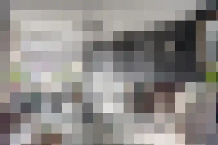 Kerklaan 60 De Lier thumbnail 12