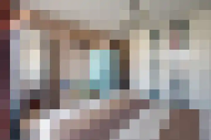 Kerklaan 60 De Lier thumbnail 22