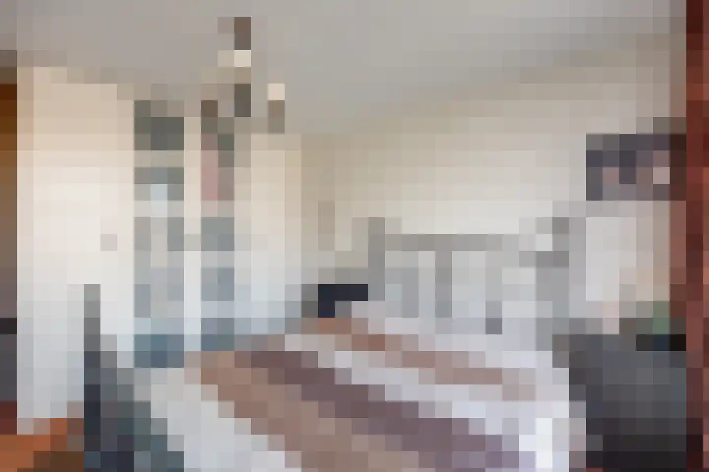 Kerklaan 60 De Lier thumbnail 24
