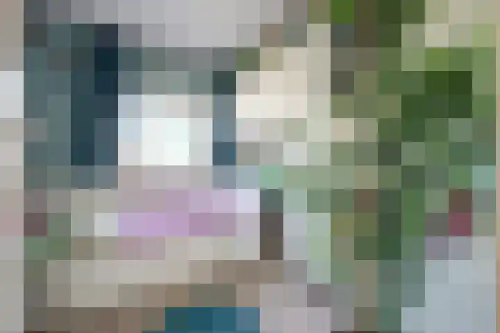 Kerklaan 60 De Lier thumbnail 26