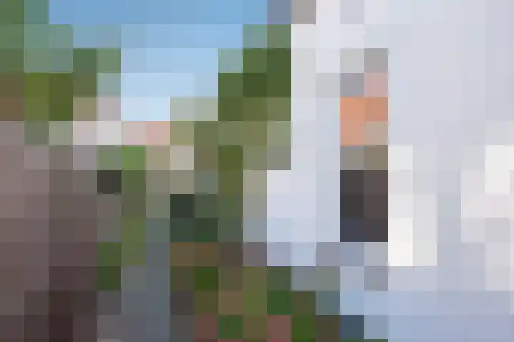 Kerklaan 62 Rijswijk thumbnail 32