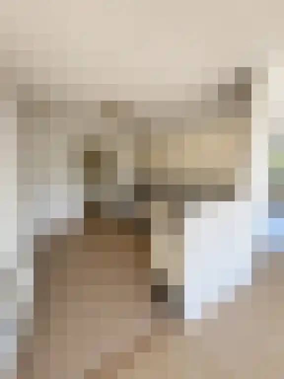 Kerklaan 624 Capelle aan den IJssel thumbnail 6