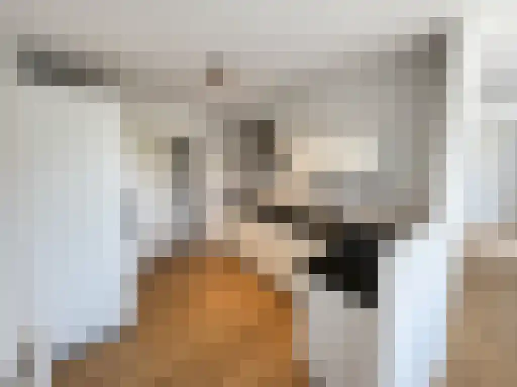 Kerklaan 648 Capelle aan den IJssel thumbnail 4