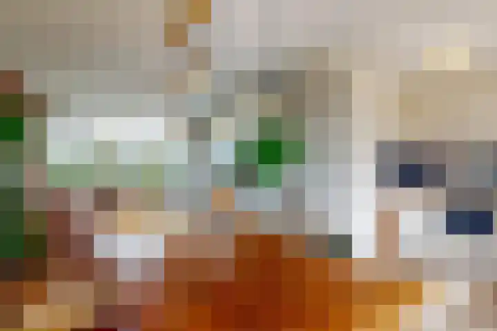 Kerklaan 65 Zoeterwoude thumbnail 15