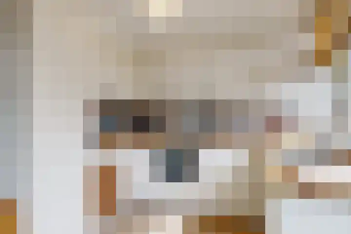Kerklaan 65 Zoeterwoude thumbnail 16