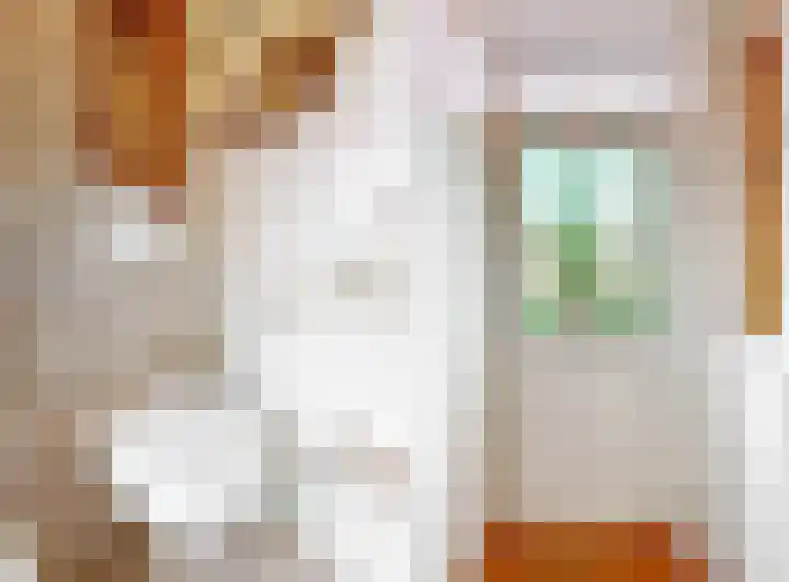Kerklaan 65 Zoeterwoude thumbnail 18