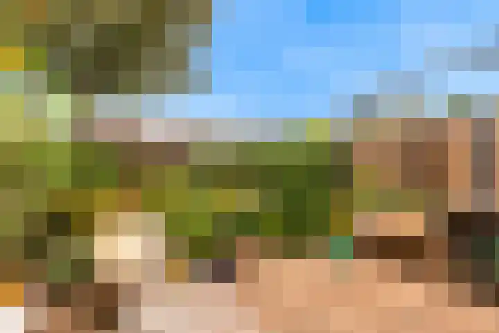 Kerklaan 65 Zoeterwoude thumbnail 31