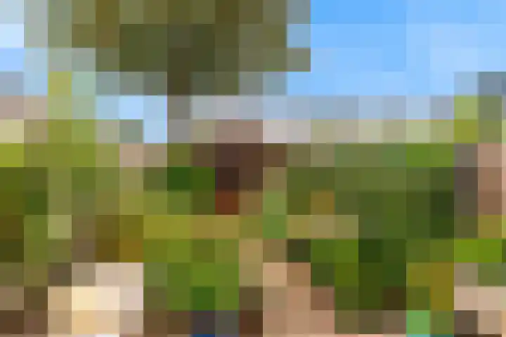 Kerklaan 65 Zoeterwoude thumbnail 32