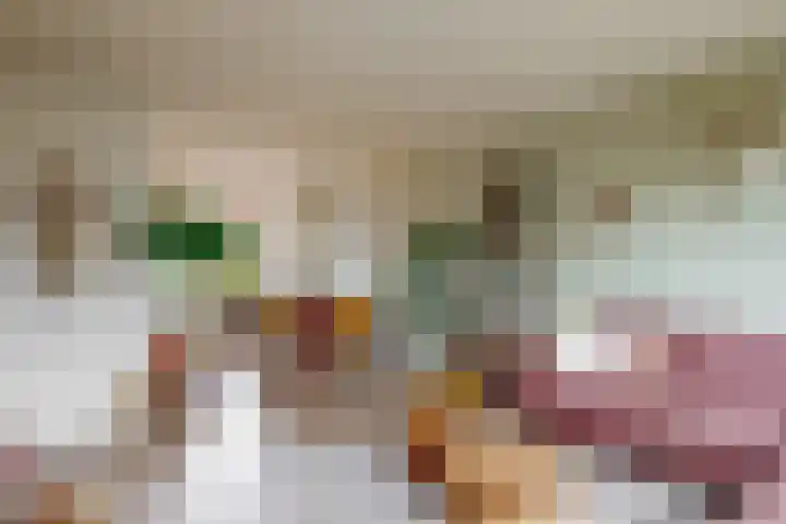 Kerklaan 65 Zoeterwoude thumbnail 4
