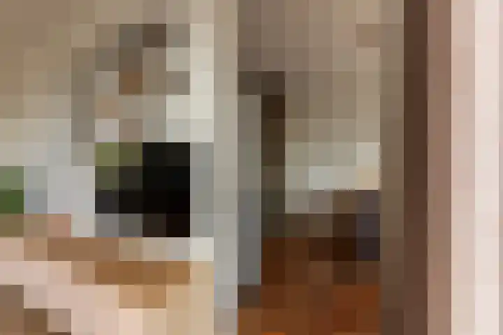 Kerklaan 7 Lopik thumbnail 16
