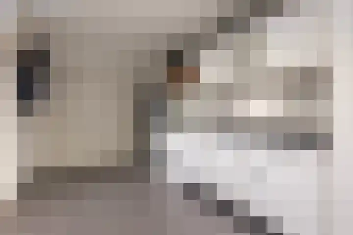 Kerklaan 7 Lopik thumbnail 29