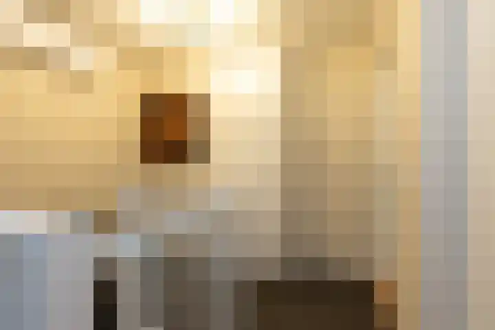 Kerklaan 7 Lopik thumbnail 54