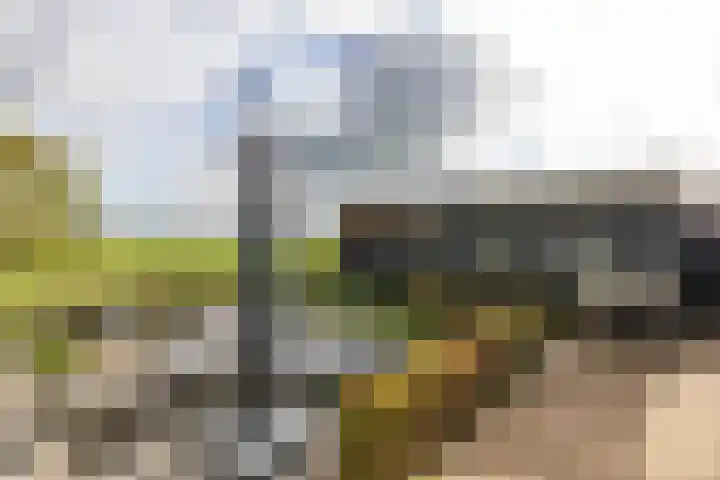 Kerklaan 7 Lopik thumbnail 60