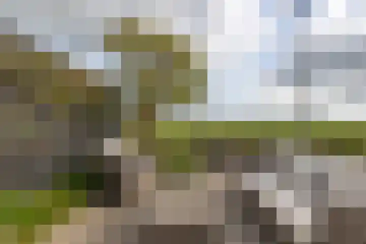 Kerklaan 7 Lopik thumbnail 61